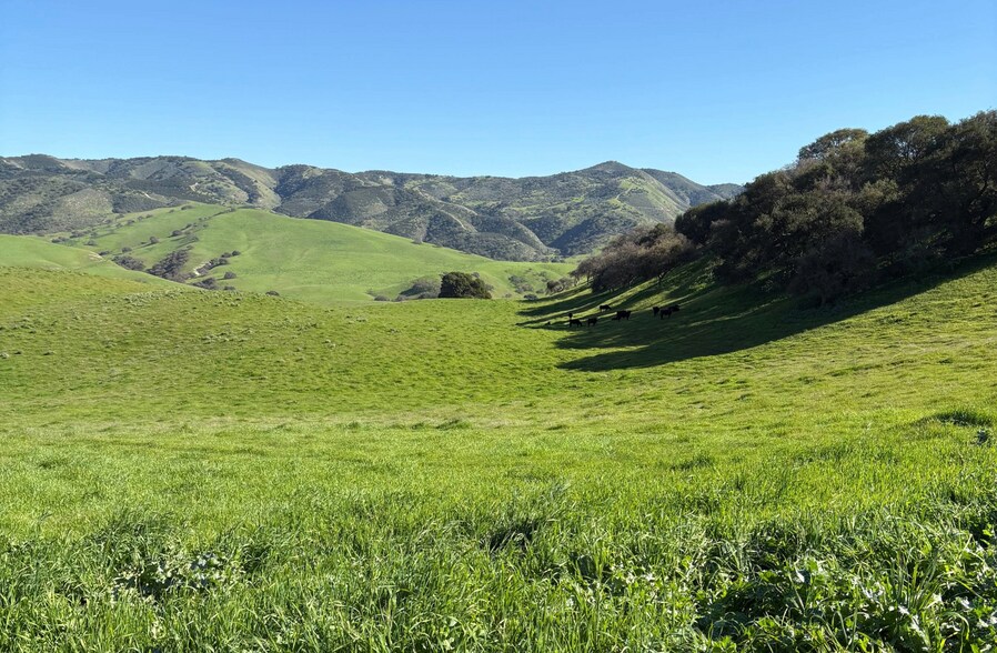 More Photos Of 48400 Reliz Canyon Rd, Greenfield Land For Sale