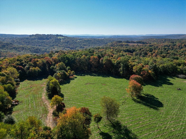More Photos Of 54 Mockler, Gibbon Glade Lodge Meeting Hall For Sale
