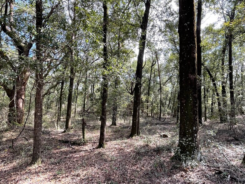 More Photos Of 4400 Garcon Point Road, Milton Land For Sale