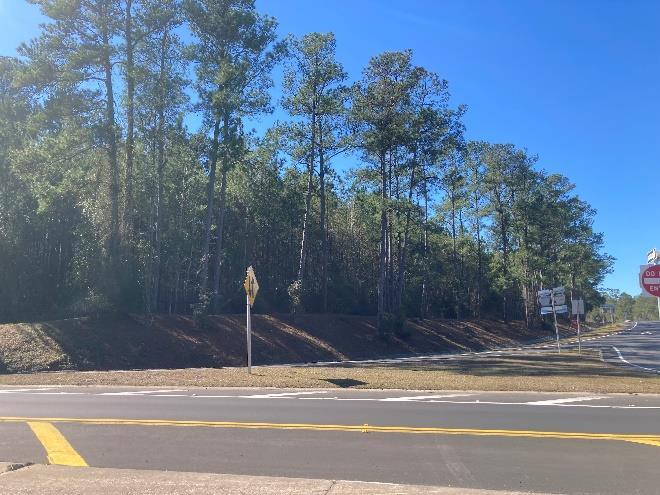 More Photos Of 0 Reid Stafford Road East, Glen Saint Mary Land For Sale