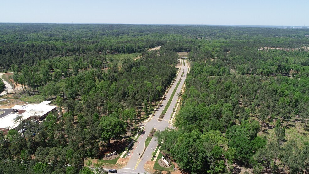 More Photos Of 301 Brighton Blvd, Chapin Land For Sale