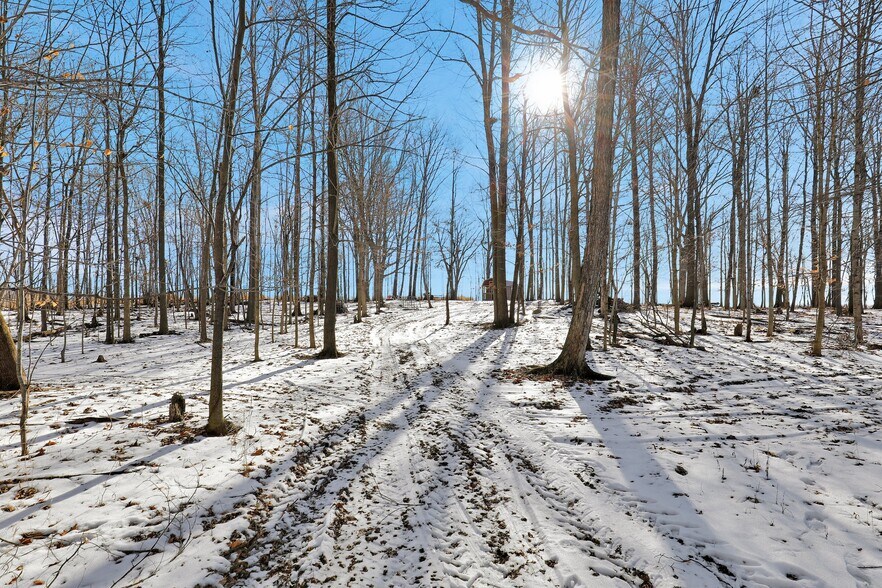 More Photos Of 2503 Butterfield Hwy, Springport Land For Sale