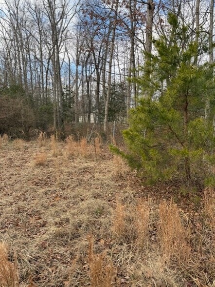 More Photos Of 10255 Crain hwy, Faulkner Land For Sale