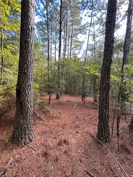 More Photos Of 2005 West Point Rd, Lagrange Land For Sale