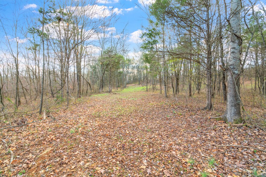 More Photos Of 0 Old Athens Pike, Sweetwater Land For Sale