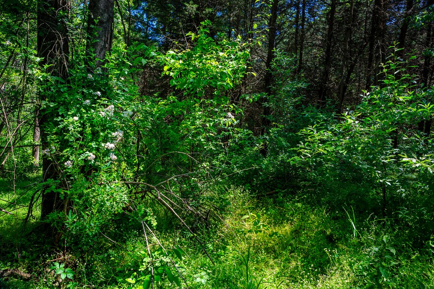 More Photos Of 1245 Carpenters Mill Rd, Ruckersville Land For Sale