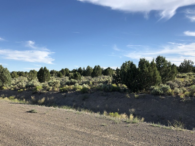 More Photos Of 6479 West 317 North Street, Ely, Nevada 89301, Ely Lodge Meeting Hall For Sale