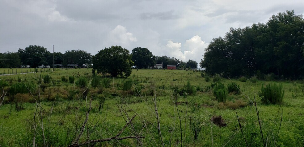 More Photos Of 5221 Plymouth Sorrento Rd, Apopka Land For Sale