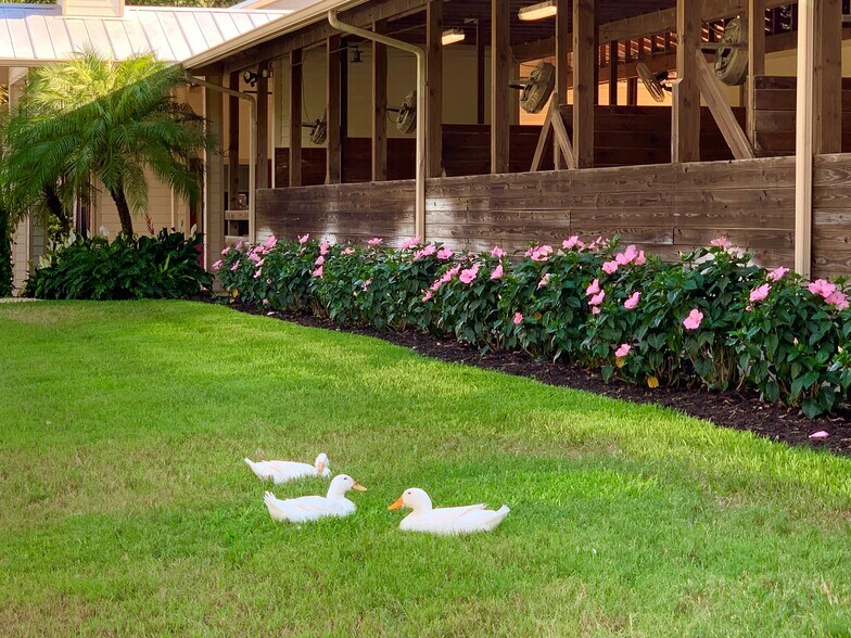 More Photos Of 3800 Staley Rd, Fort Myers Specialty For Sale