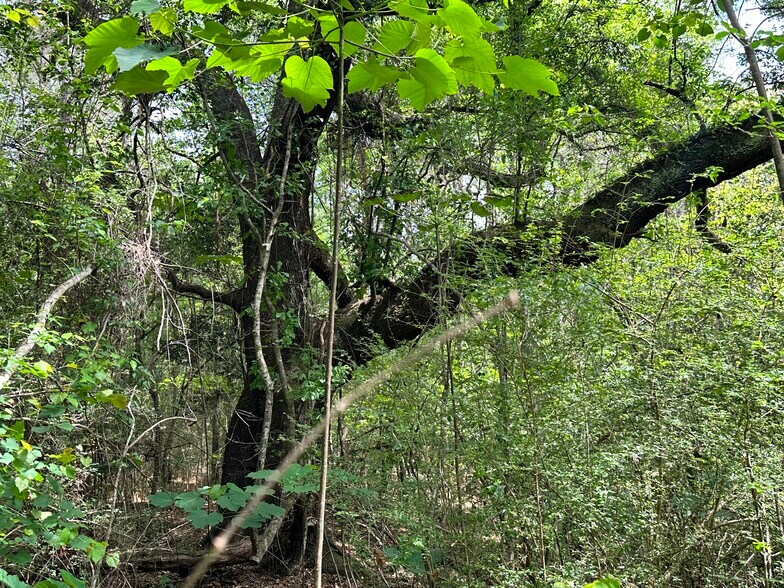 More Photos Of 0 Wilmer, Wilmer Land For Sale