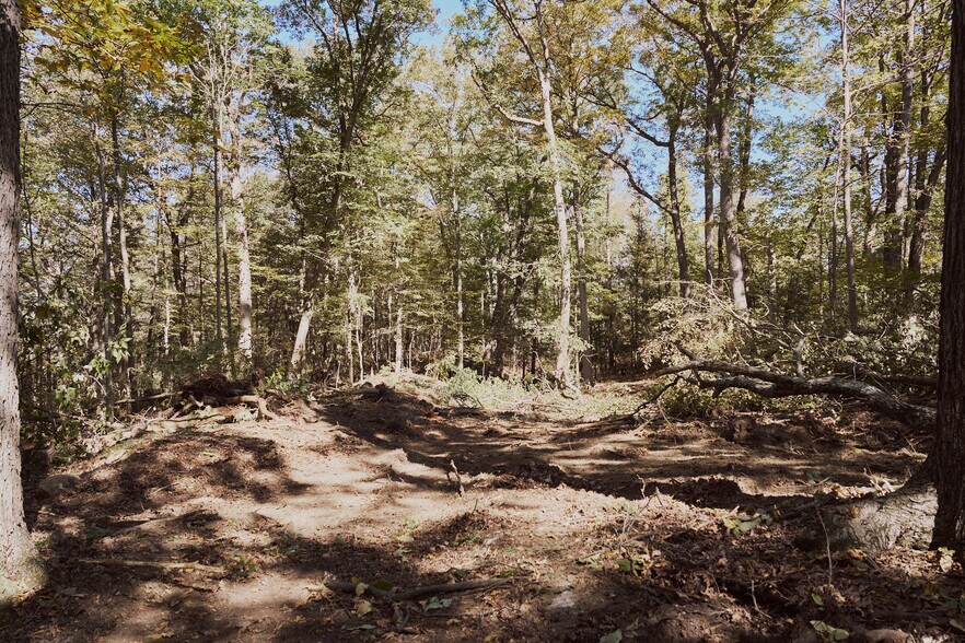 More Photos Of 1296 Flatbush Rd, Kingston Land For Sale