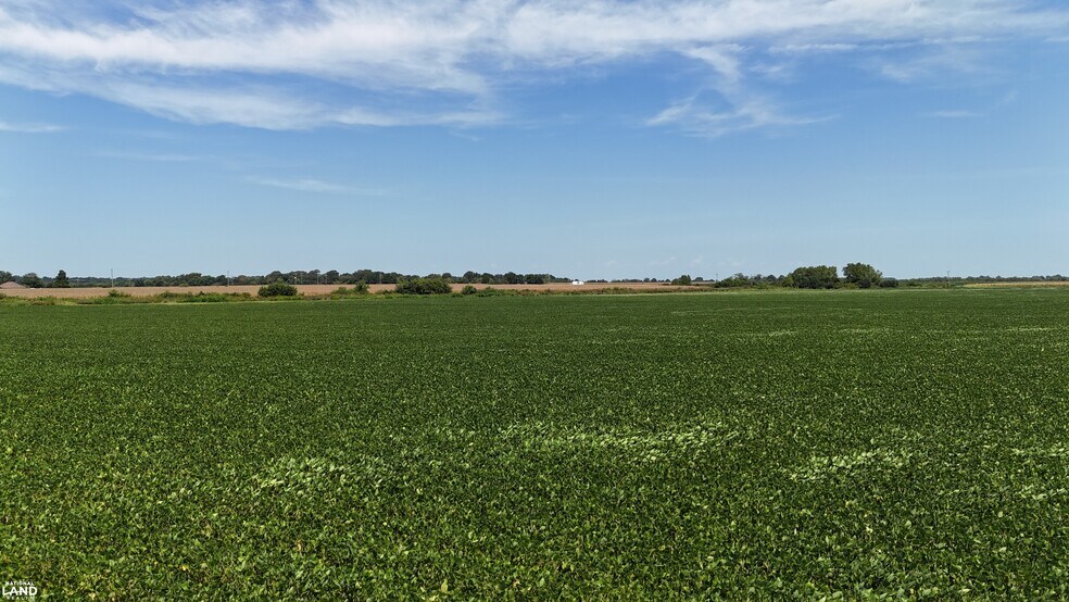 More Photos Of 1120 Highway 165 N, Stuttgart Land For Sale