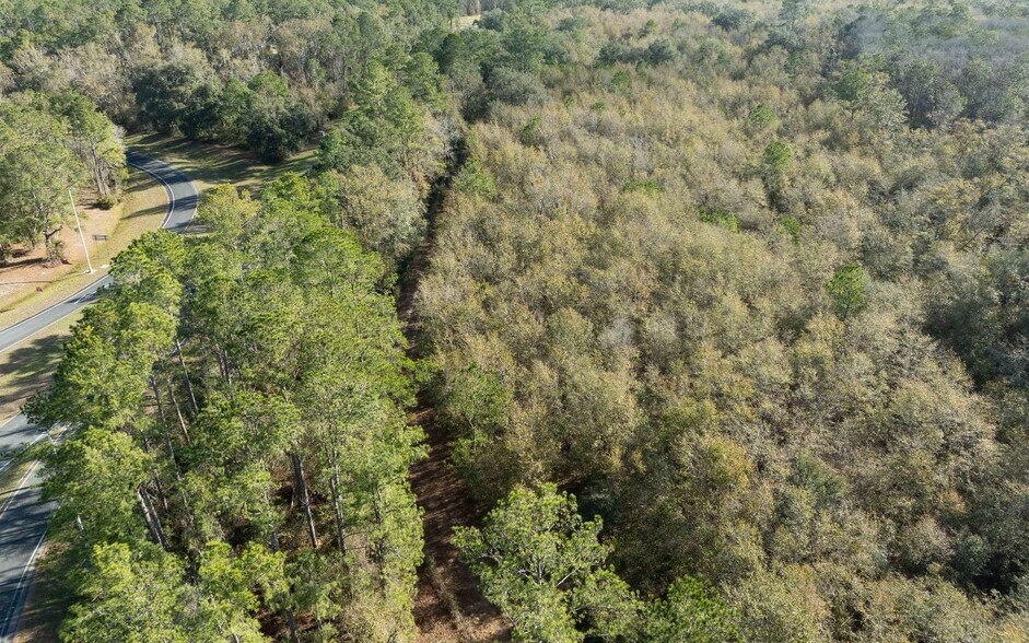 More Photos Of TBD CR 137 & I-10, Wellborn Land For Sale