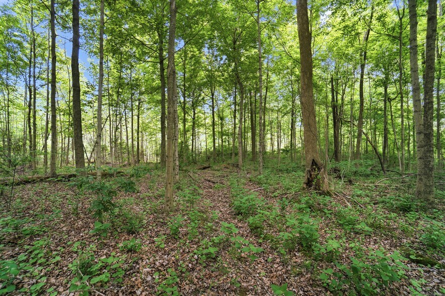 More Photos Of 30-Acres Wolfpen Pleasant Hill Rd, Day Heights Land For Sale