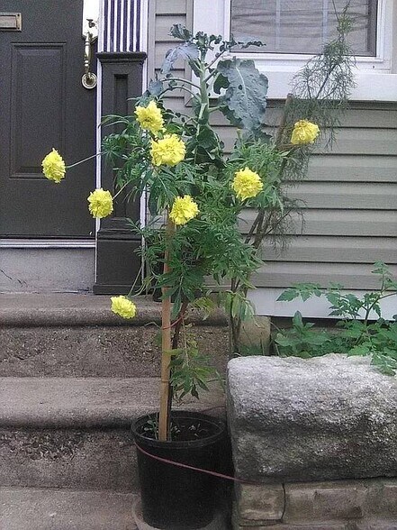 More Photos Of 2038 Grant Ave, Philadelphia Specialty For Sale