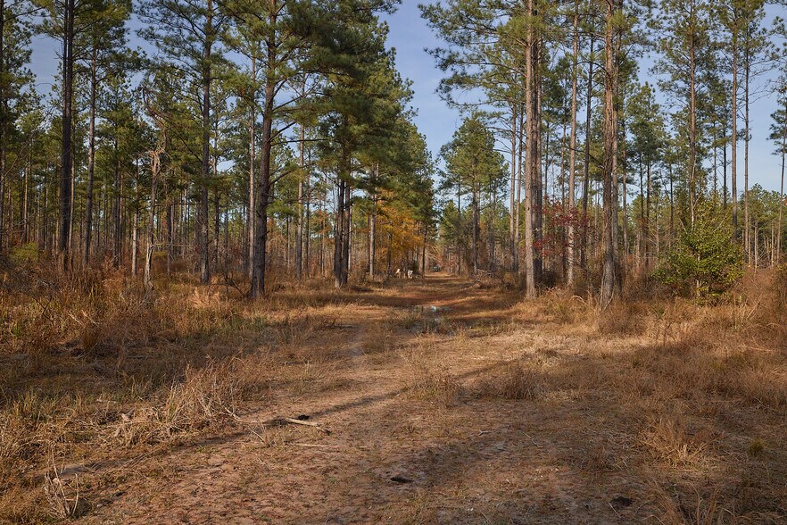 More Photos Of 480 Martin Rd, Cotton Valley Land For Sale