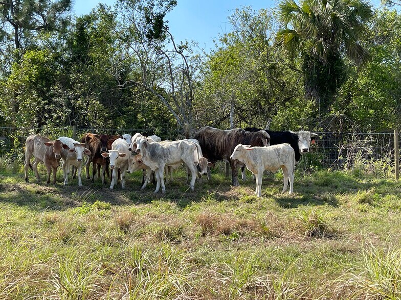 More Photos Of 2105 86th Ave SW, Vero Beach Land For Sale