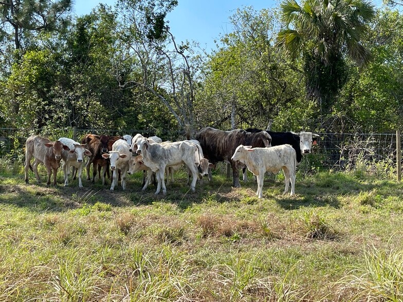 More Photos Of 2105 86th Ave SW, Vero Beach Land For Sale