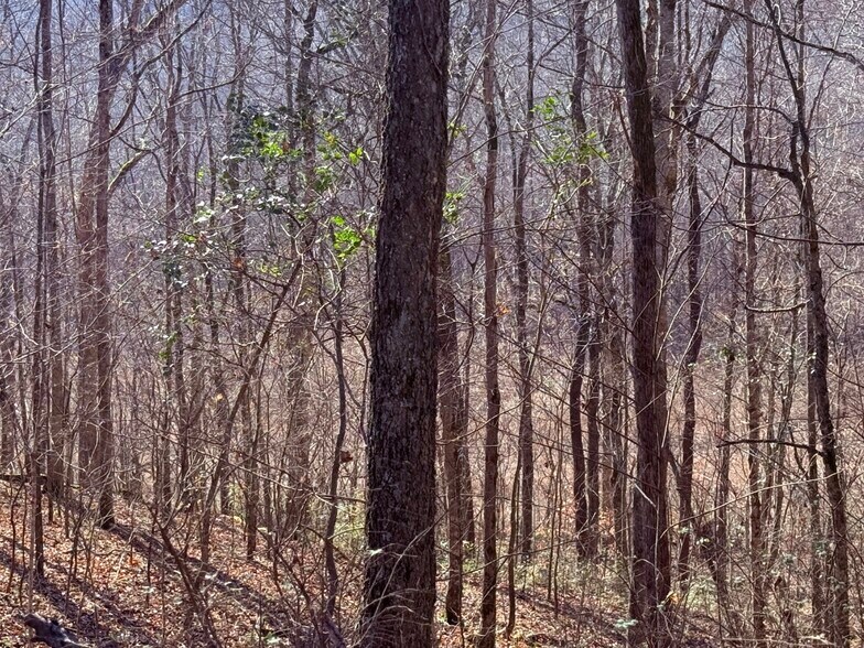 More Photos Of 4604 Summersville Rd, Campbellsville Land For Sale