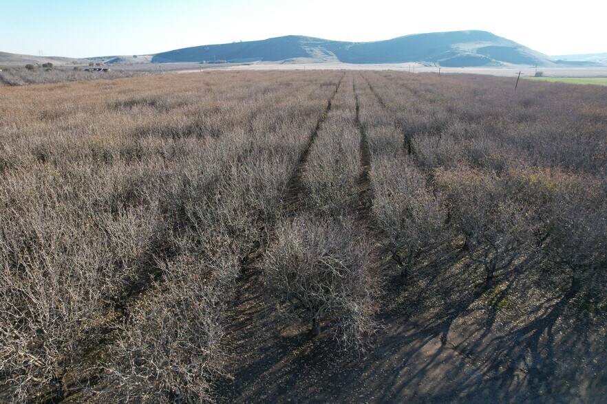 More Photos Of 9121 Pass Rd Rd, Sutter Land For Sale