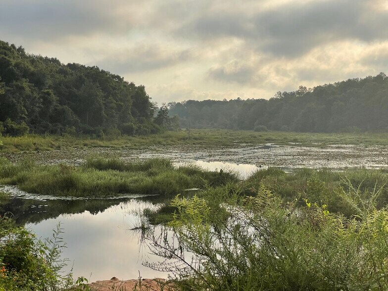 More Photos Of 00 Bull Branch, Coffee Springs Land For Sale