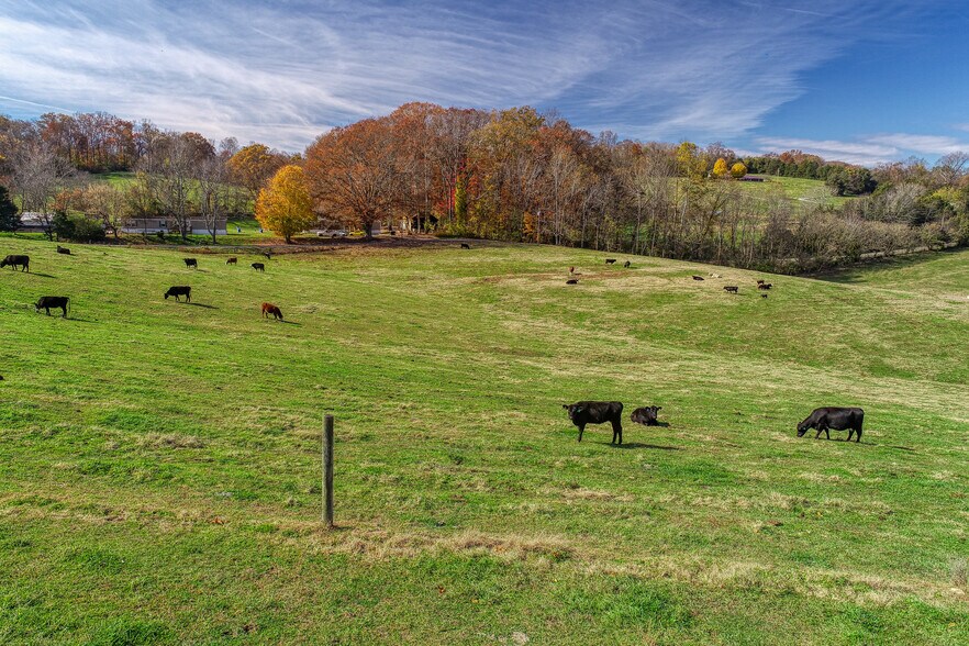 More Photos Of 311 Ross Cemetery Rd, Rocky Top Land For Sale