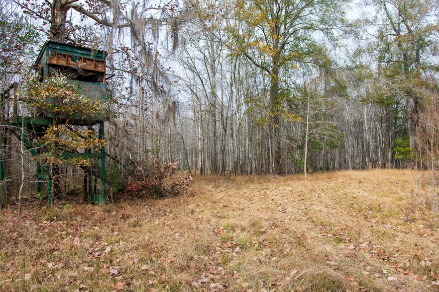 More Photos Of 409 Windward Ave, Orangeburg Land For Sale