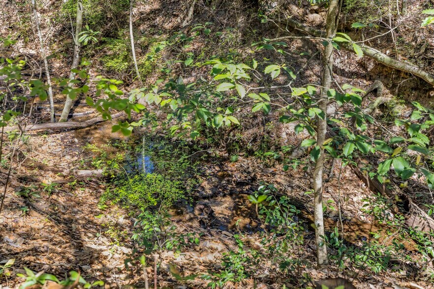 More Photos Of 7700 Iron Rush Rd, Wilmer Land For Sale