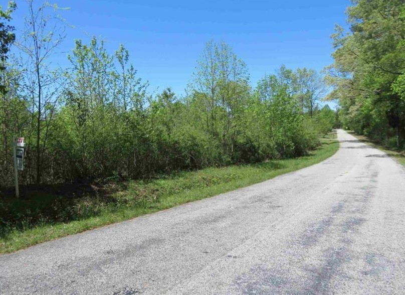 Primary Photo Of 0 I-26, Little Mountain Land For Sale