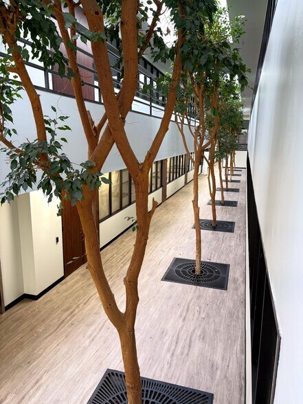 More Photos Of 811 FM-1959, Houston Office For Lease