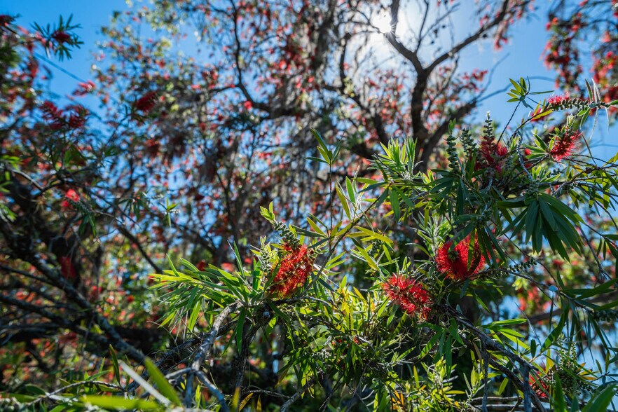 More Photos Of 701 E State Road 60, Plant City Land For Sale