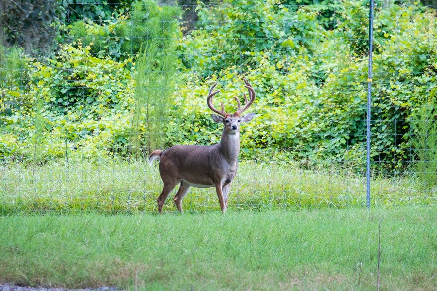 More Photos Of 134 Shoreside Trail, Crescent City Land For Sale