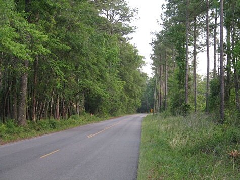 More Photos Of 0 Tiger Hammock Rd, Crawfordville Land For Sale