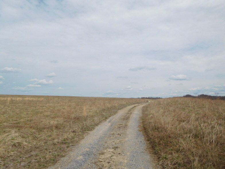 Guston Rd, Cassville, WV 26501 Land For Sale