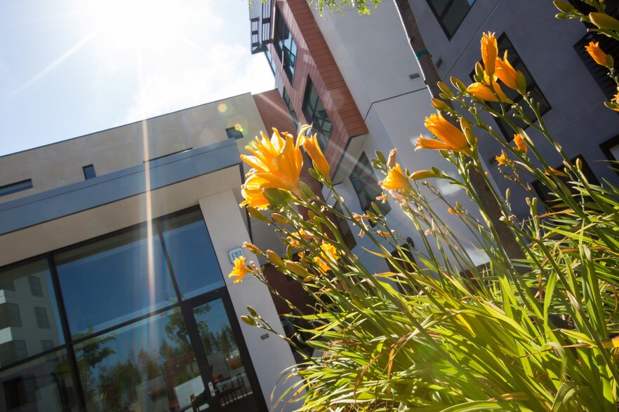 More Photos Of 1155 4th St, San Francisco Apartments For Lease