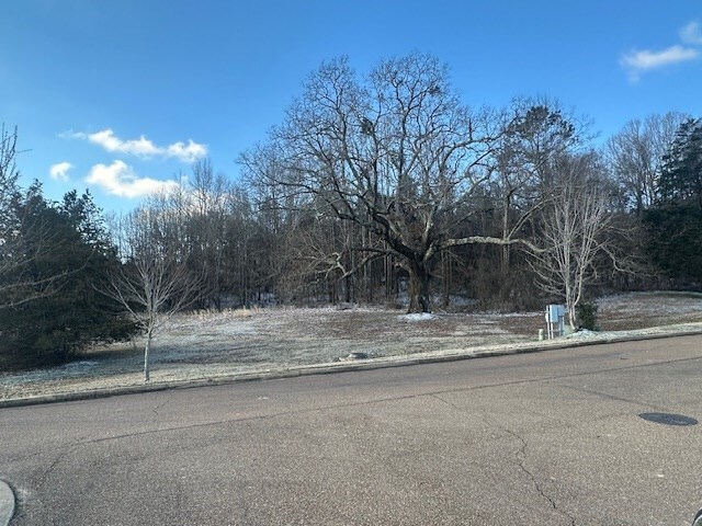 More Photos Of 000 Highway 7 South, Oxford Land For Sale