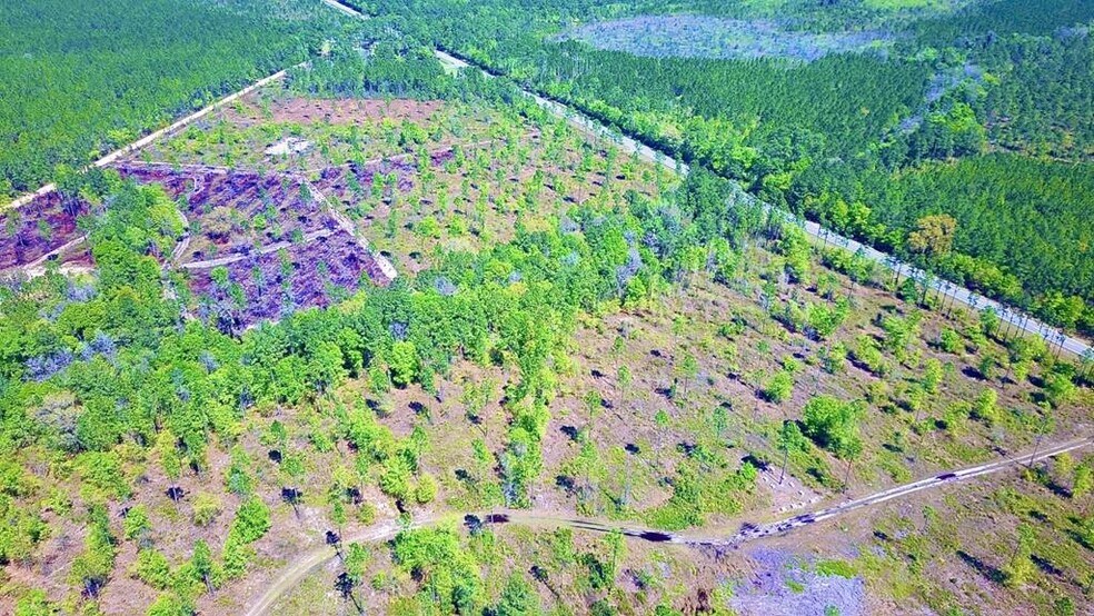 More Photos Of 8 Acres Hwy 221 hwy, Lakeland Land For Sale