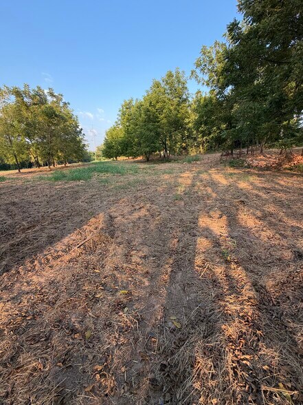 More Photos Of Puppy Creek Rd, Lowell Land For Sale