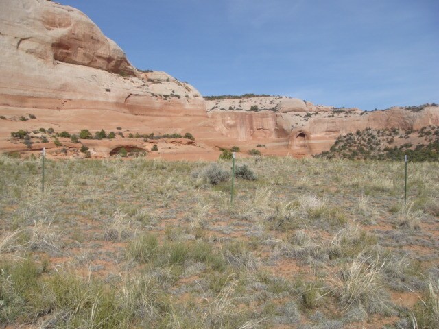 More Photos Of 2 Pioneer Dr, Monticello Land For Sale