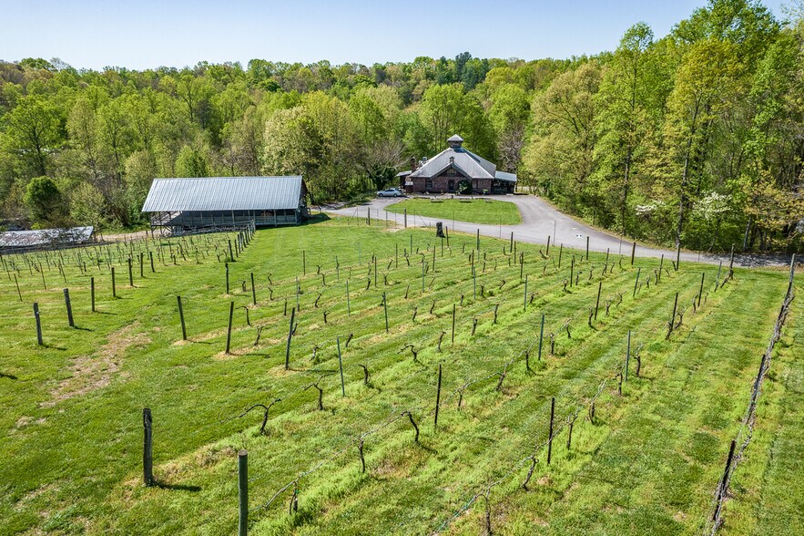 More Photos Of 318 Elkin Creek Mill Rd, Elkin Winery Vineyard For Sale