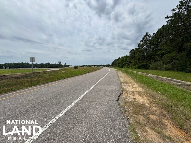 More Photos Of 0 Dead Lake Rd., Creola Land For Sale