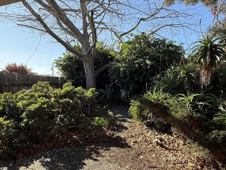 More Photos Of 928-930 San Pablo Ave, Albany Medical For Sale