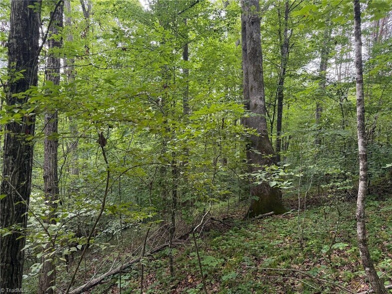More Photos Of 1215 Lucius Beasley Rd, Westfield Land For Sale