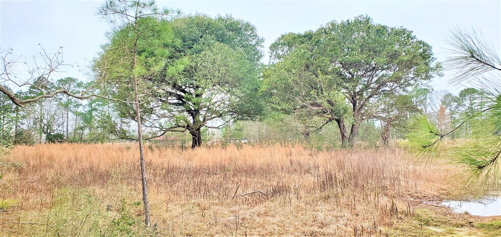 More Photos Of Highway 3226 @ Cypress Church Road, Deridder Land For Sale