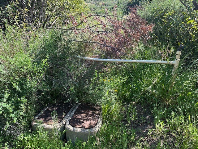 More Photos Of 28741 Williams Canyon Rd, Silverado Land For Sale