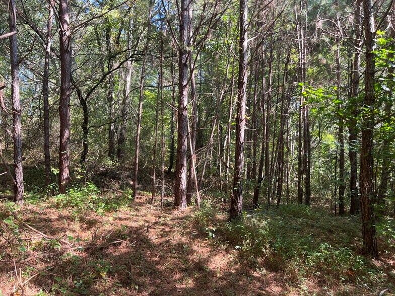 More Photos Of 124 S Kelley St, Tallapoosa Land For Sale