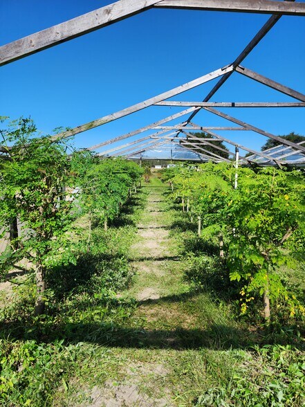 More Photos Of 3510 Walk in Water Rd, Lake Wales Winery Vineyard For Sale