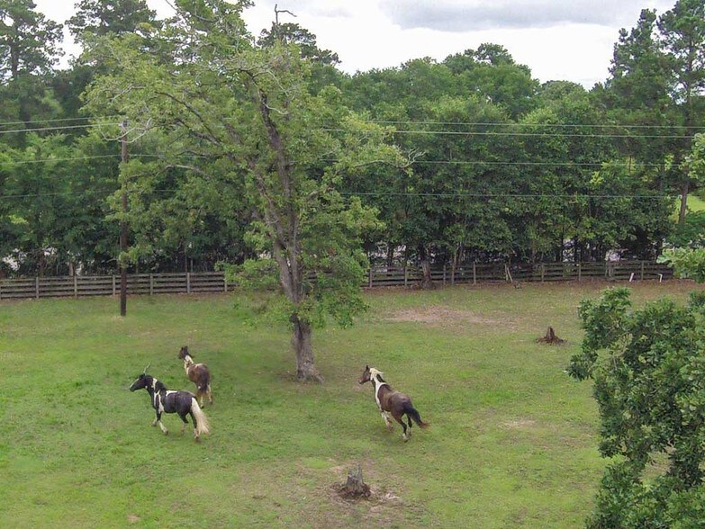 More Photos Of 26298 Hwy 105 W, Montgomery Land For Sale