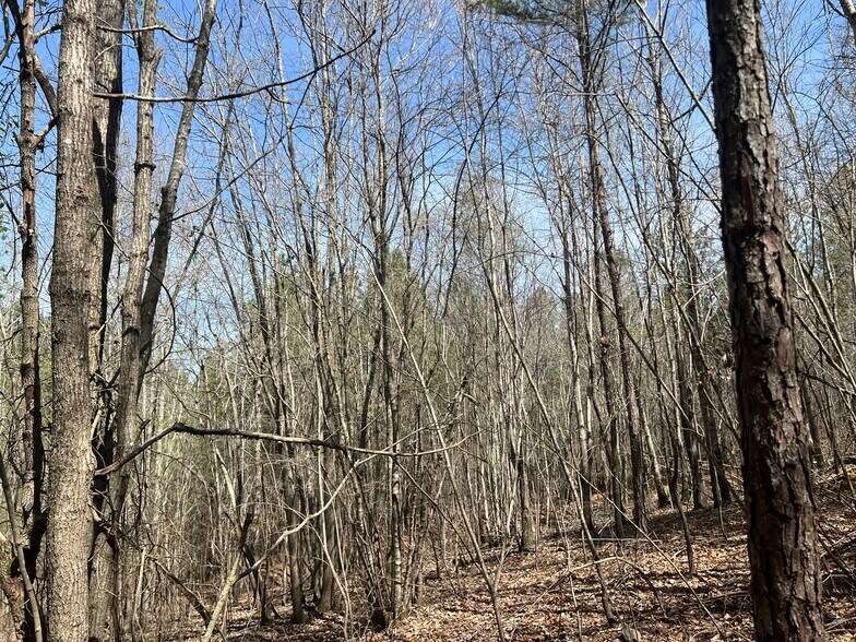 More Photos Of 16 Unbridled Rd SE, Rome Land For Sale