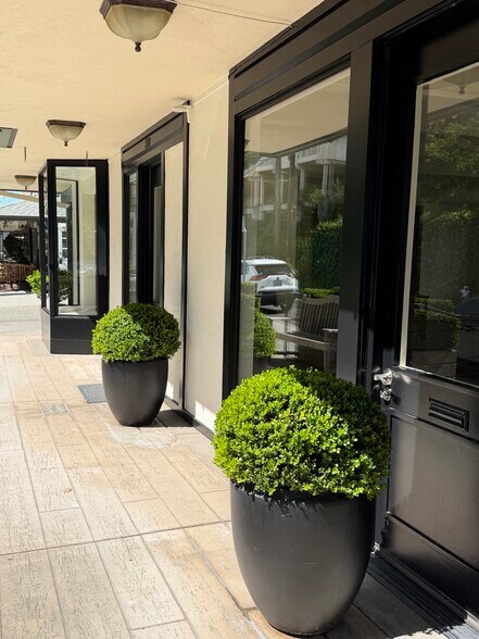 Primary Photo Of 80 F Main St, Belvedere Tiburon Storefront For Lease